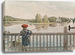 Постер Ларсон Карл Лизбет ловит рыбу