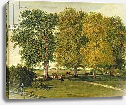 Постер Кобель Уильям Herder with Cattle beneath Autumnal Trees, c.1821