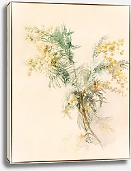 Постер Уолтер Лилли Мимозид