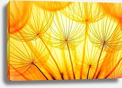 Постер Одуванчики в желтых тонах