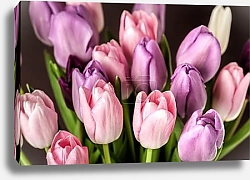 Постер Тюльпаны 2