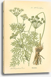 Постер Flora von Deutschland №3