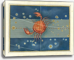 Постер Байер Иоганн Cancer