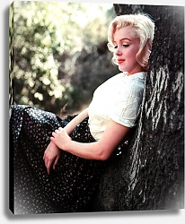 Постер Monroe, Marilyn 104