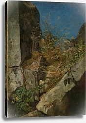 Постер Тома Ханс Травы среди скал