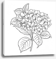 Постер Цветочная симфония