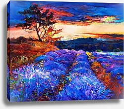 Постер Поля лаванды в последних лучах солнца 2