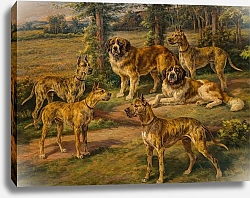 Постер Остхаус Эдмунд Собаки Гарольда Ллойда