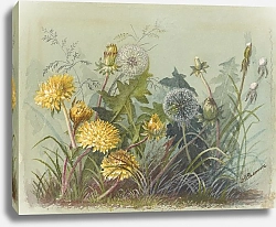 Постер Пассмор Дебора Альбом акварелей Деборы Гриском Пассмор, стр.60