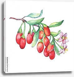 Постер Ветка годжи с красными ягодами, цветами и листьями