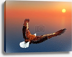 Постер Орел над морем