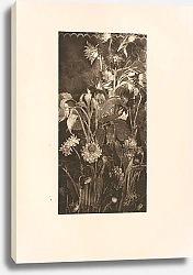 Постер Выспянский Станислав kwiaty