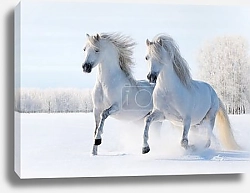 Постер Лошади на снегу