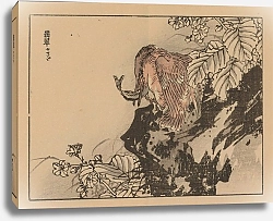 Постер Байрей Коно Байрей гафу, пл. 36