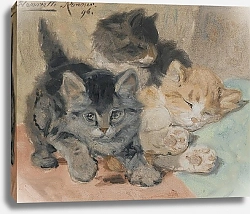 Постер Роннер-Нип Генриетта Three Kittens