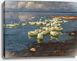 Постер Кестер Александр Утки в озере