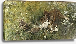 Постер Лильефорс Бруно Лисья семья