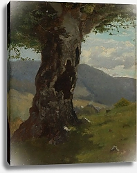 Постер Тома Ханс Старое бревно с видом на долину