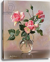 Постер Уильямс Альберт (совр) AB69 Pink Roses in a Glass Jug
