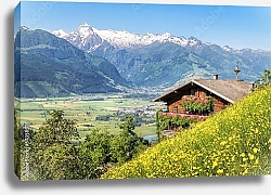 Постер Швейцария. Летний пейзаж с шале на склоне