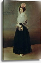 Постер Гойя Франсиско (Francisco de Goya) Portrait of the Countess of Carpio Marquesa de la Solana, c.1793