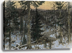 Постер Смирнов Борис Васильевич Twilight on the Taiga near Krasnoyarsk.
