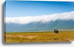 Постер  Африканский пейзаж со слоном