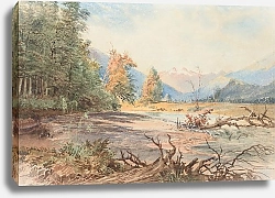 Постер Шевалье Николас Река Упукерора