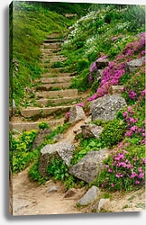 Постер Лестница в ботаническом саду