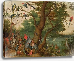 Постер Кессель Ян Concert of Birds 1