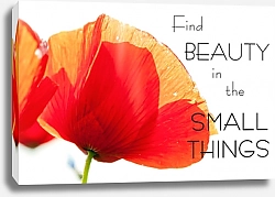 Постер Find beauty in the small things