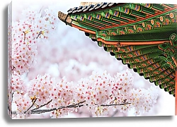 Постер Цветущая вишня у азиатского дома