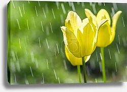 Постер Сияние весны