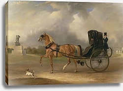 Постер Фернли Джон Уильям Мэсси-Стэнли за рулем своего кабриолета в Гайд-парке