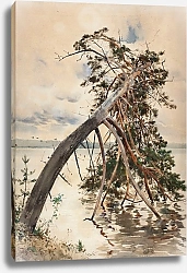 Постер Фалат Джулиан Świteź