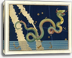 Постер Байер Иоганн Serpens