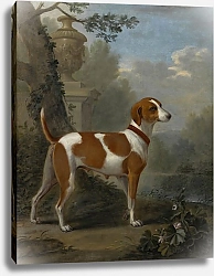 Постер Уоттон Джон Портрет Гончей Герцога Гамильтона по кличке Джуэлл