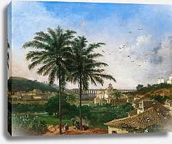 Постер Таунай Николя The Aqueduct at Rio de Janeiro