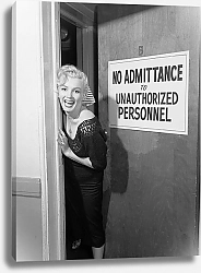Постер Monroe, Marilyn