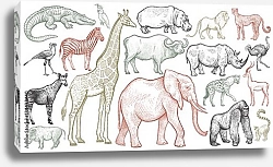 Постер Африканские животные и птицы
