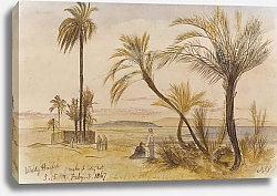 Постер Лир Эдвард Wady Halfen, Egypt