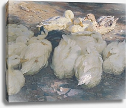 Постер Кестер Александр Под вечерним солнцем