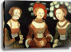 Постер Кранах Лукас Старший Three princesses of Saxony, Sibylla, Emilia and Sidonia, c.1535