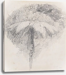 Постер Ричмонд Джеймс Мамаку, Таранаки