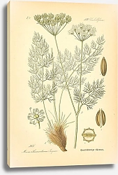 Постер Flora von Deutschland №17
