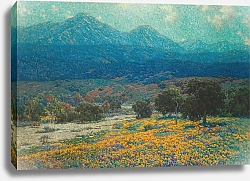 Постер Редмонд Гранвиль Калифорнийское маковое поле