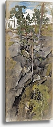 Постер Ярнефельт Ээро Скалистый лес