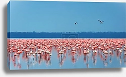 Постер Озеро розовых фламинго