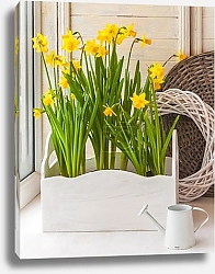 Постер Натюрморт с нарциссами