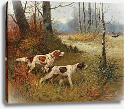 Постер Мартинез Ф. Е. Две легавые собаки